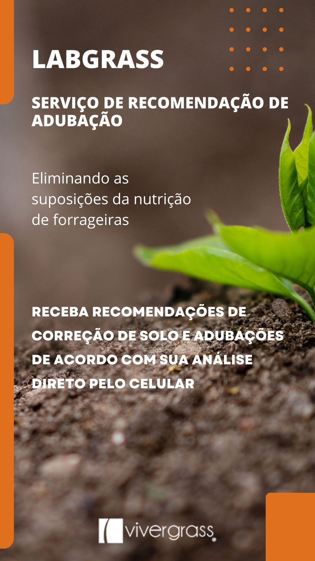 recomendação de calagem e adubação