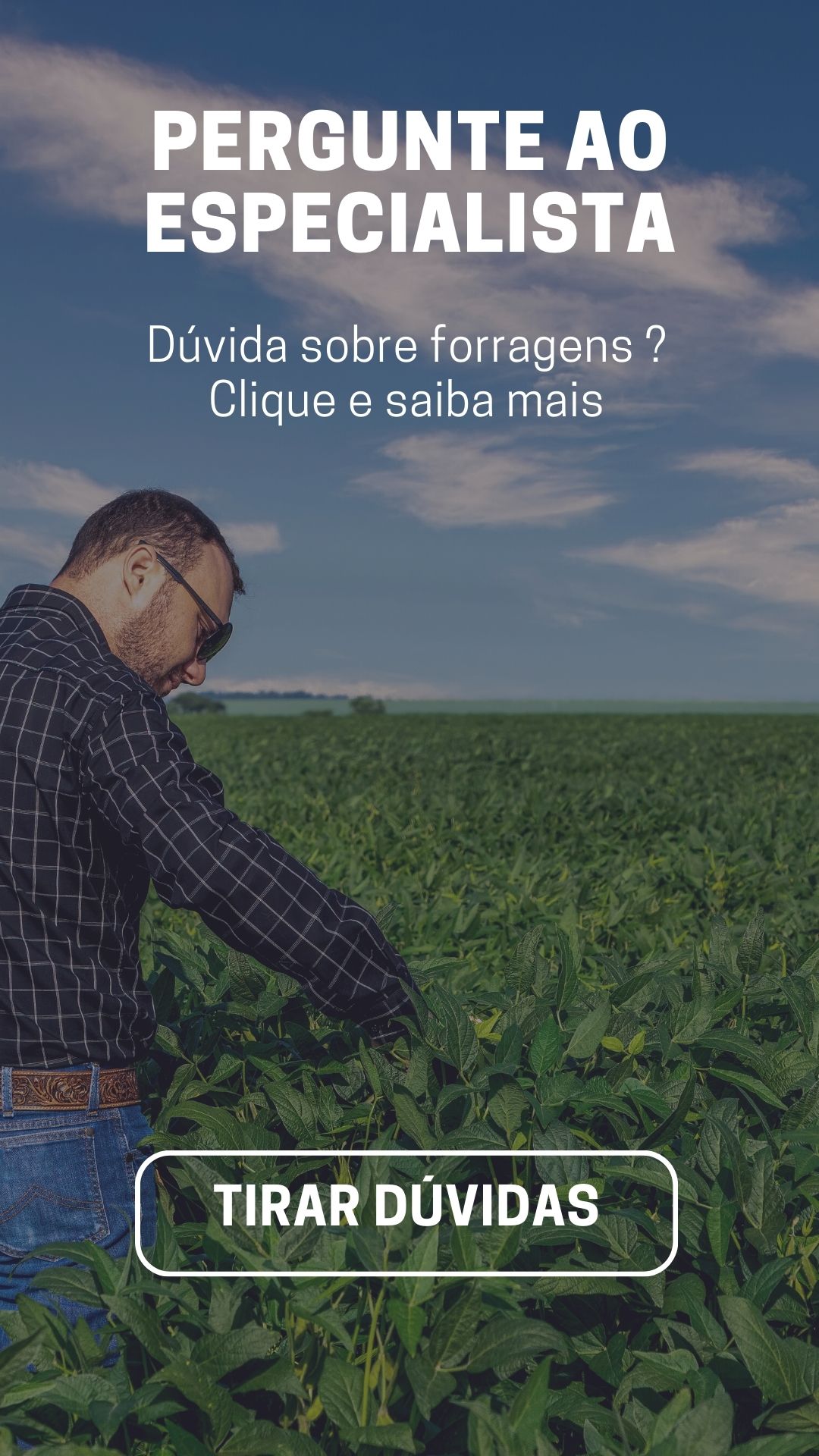 pergunte ao especialista